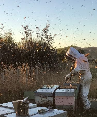 beekeeper at dusk