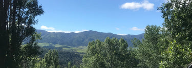 view of the ruahine ranges 