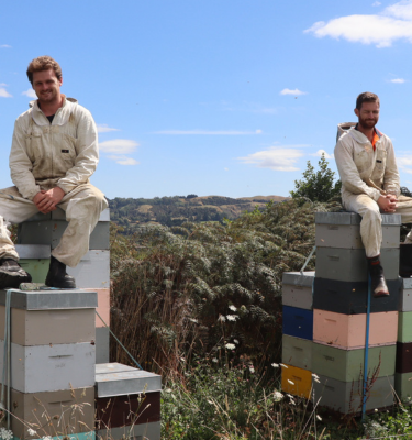 Beekeeper Brothers