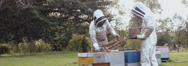 mason brothers working the hives